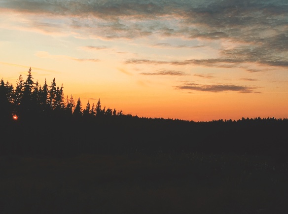 Sonnenuntergang hinter einem Wald