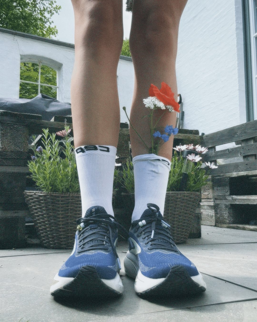 flowers in socks
